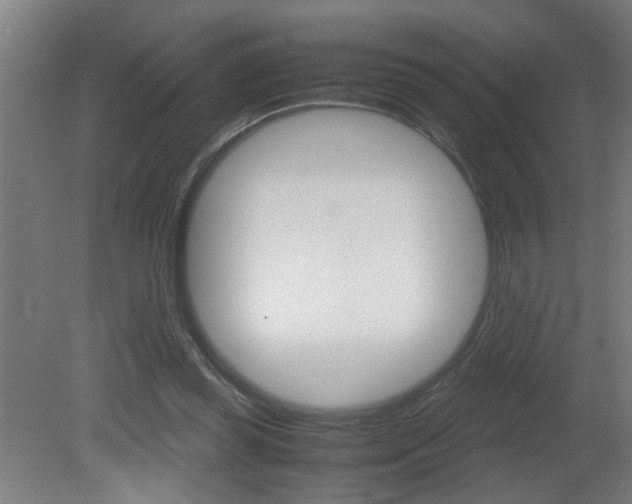 X0000081310349200701111008