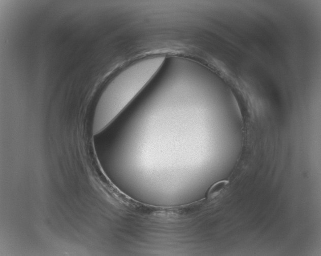 X0000081310354200701111008