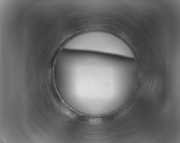 X0000081310355200701111008