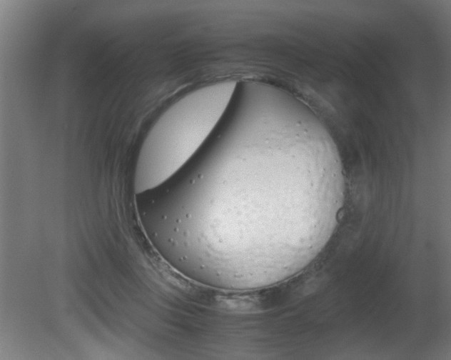 X0000081310359200701111008