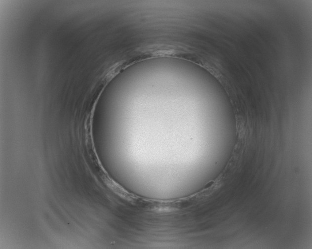 X0000081310360200701111008