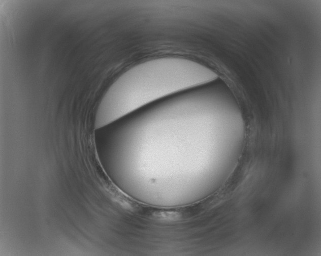 X0000081310361200701111008
