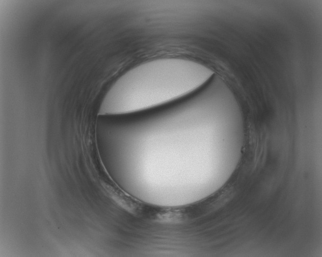 X0000081310362200701111008