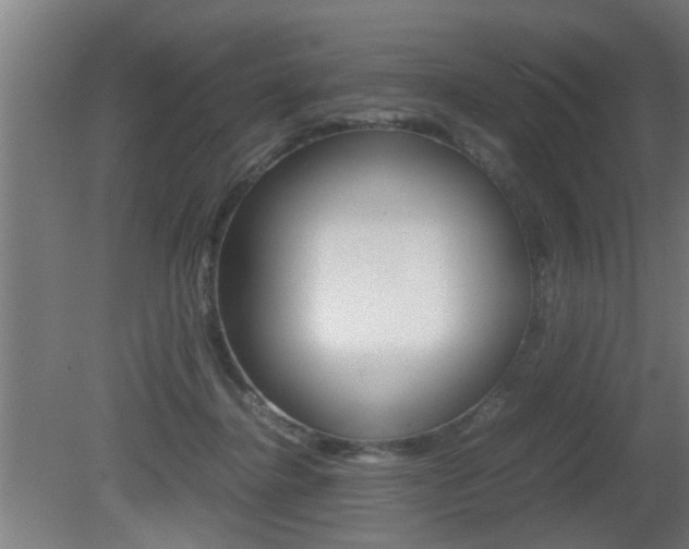 X0000081310364200701111008