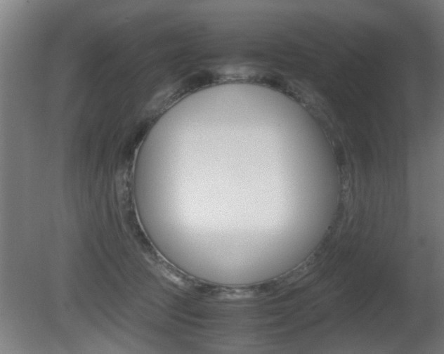 X0000081310369200701111008