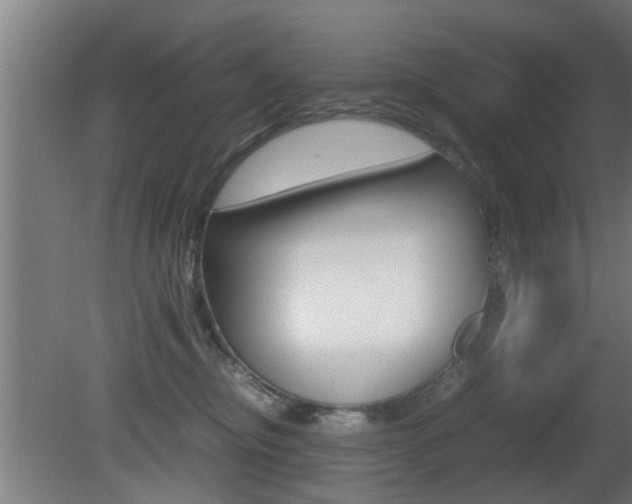 X0000081310374200701111009