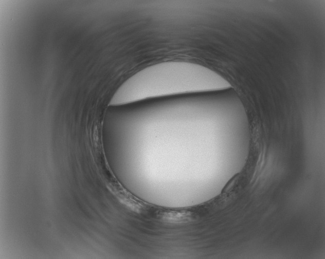 X0000081310375200701111009