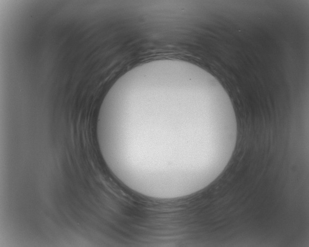 X0000081310376200701111009