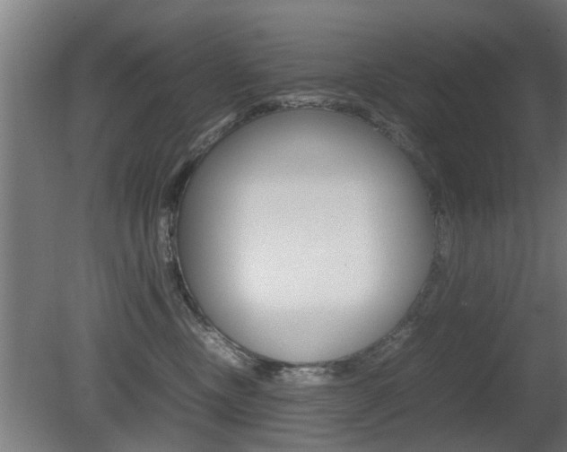 X0000081310378200701111009