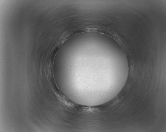 X0000081310379200701111009