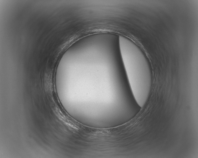 X0000081310386200701111008