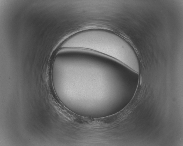 X0000081310387200701111008