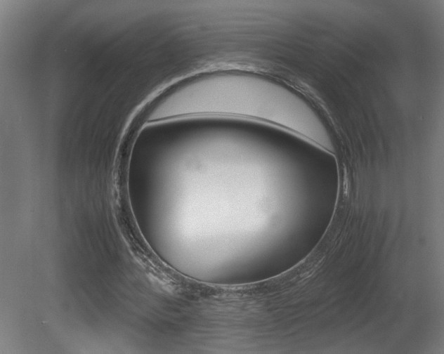 X0000081310388200701111008