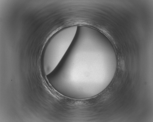 X0000081310390200701111008