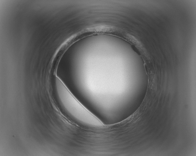 X0000081310392200701111008