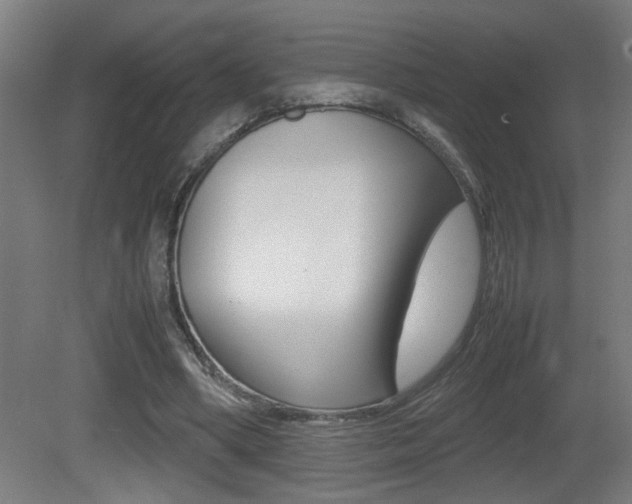 X0000081310394200701111008