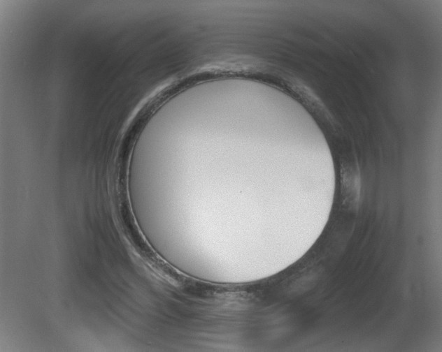 X0000081310396200701111008