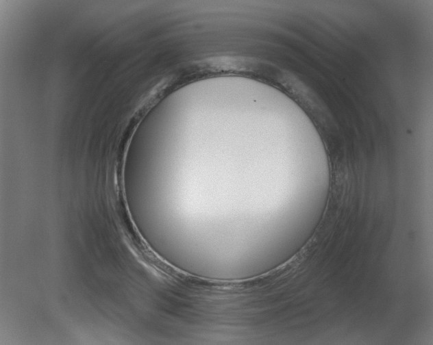 X0000081310398200701111008