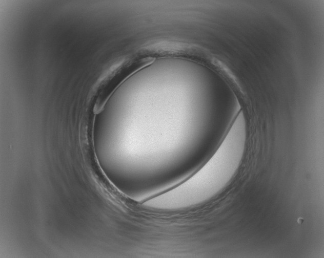 X0000081310399200701111008