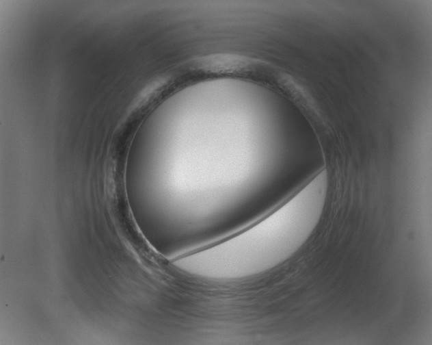 X0000081310400200701111008