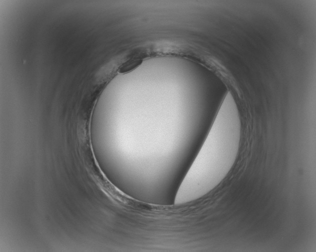 X0000081310401200701111008