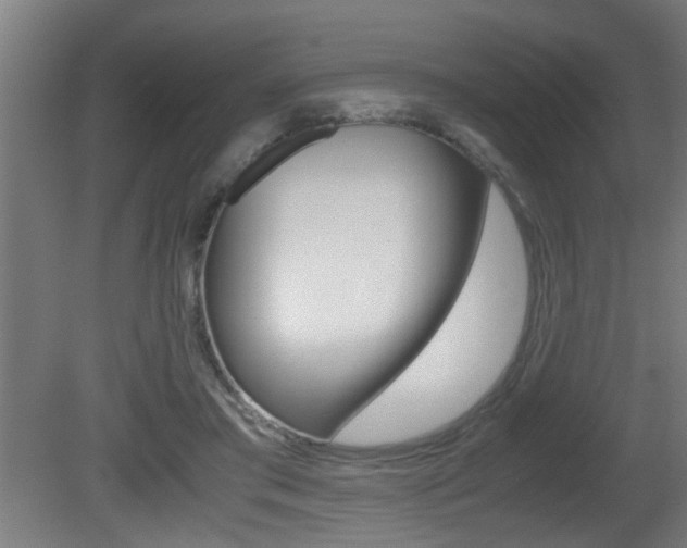 X0000081310405200701111008