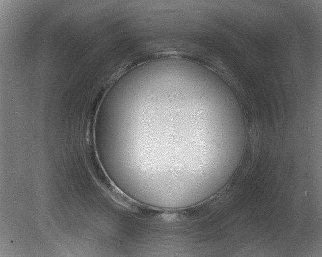 X0000081310406200701111008