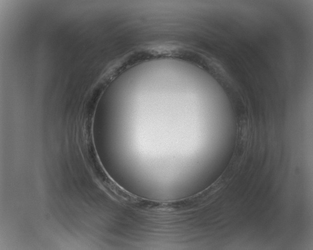 X0000081310408200701111008