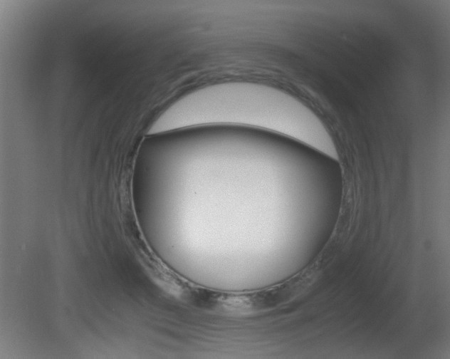 X0000081310409200701111007