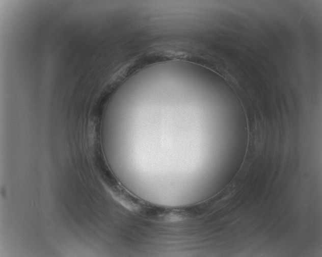 X0000081310412200701111007