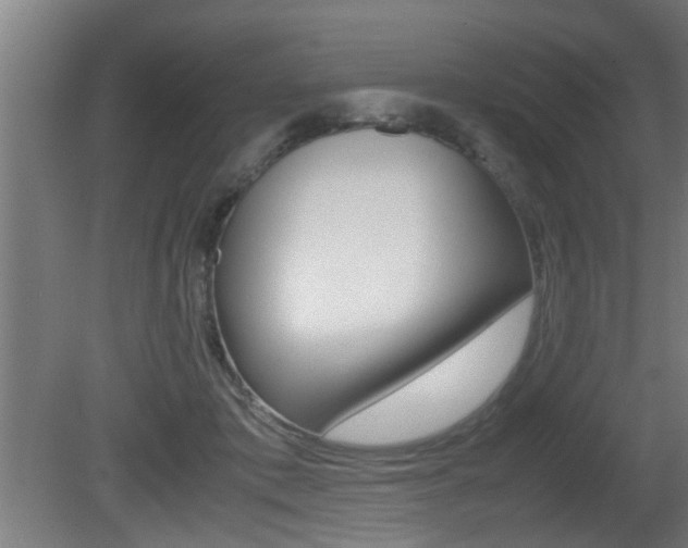 X0000081310413200701111007