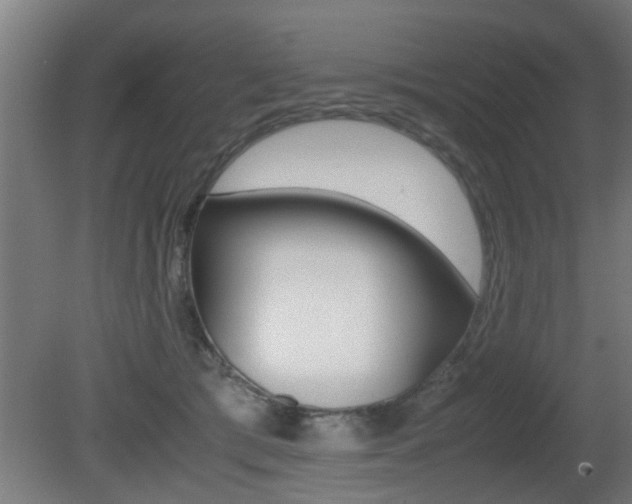 X0000081310417200701111007