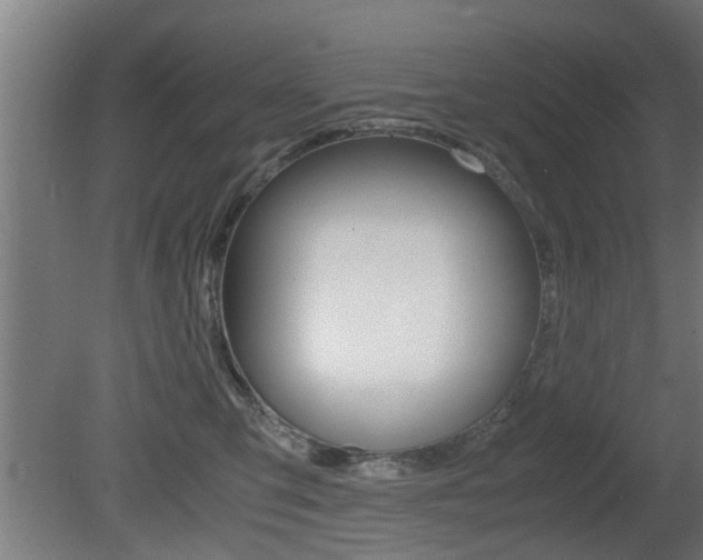 X0000081310423200701111007