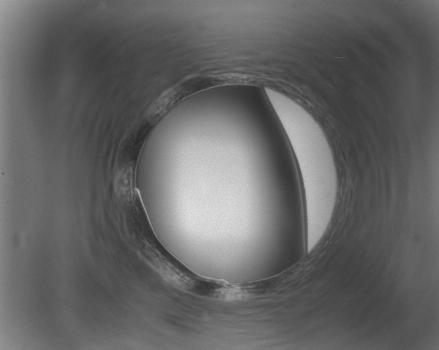 X0000081310425200701111007
