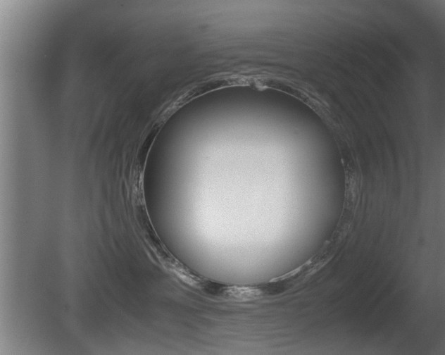 X0000081310429200701111007