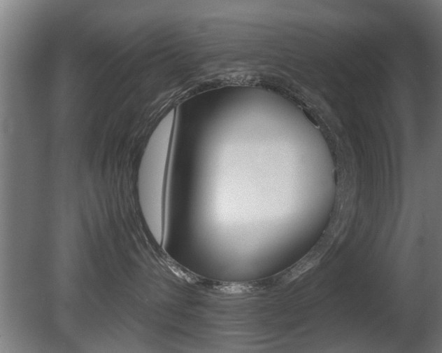 X0000081310432200701111007