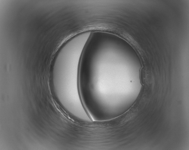 X0000081310434200701111006