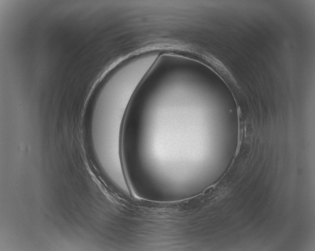 X0000081310436200701111006