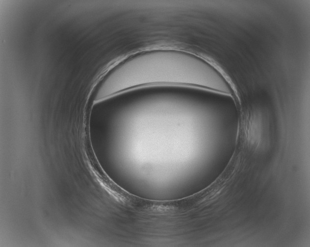 X0000081310437200701111006