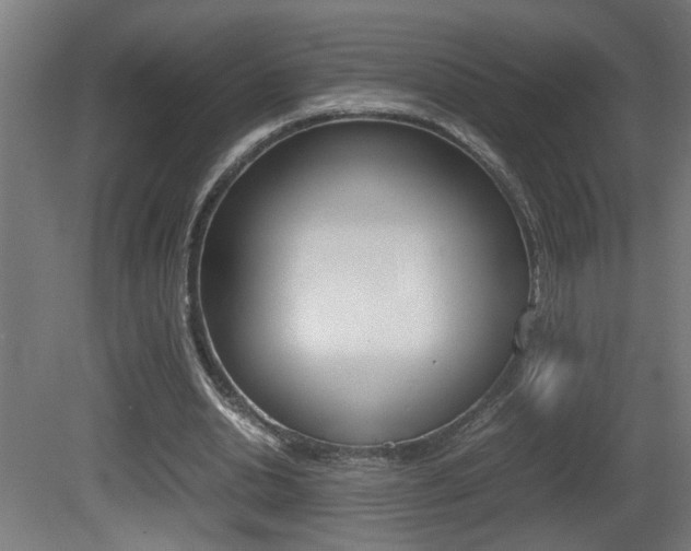 X0000081310438200701111006
