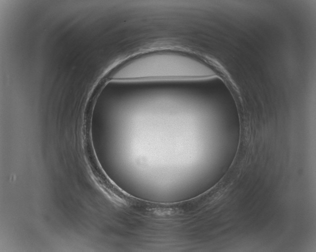 X0000081310439200701111006
