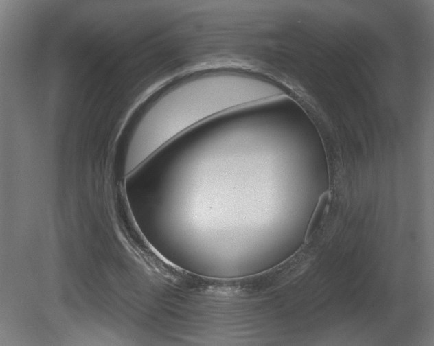 X0000081310440200701111006