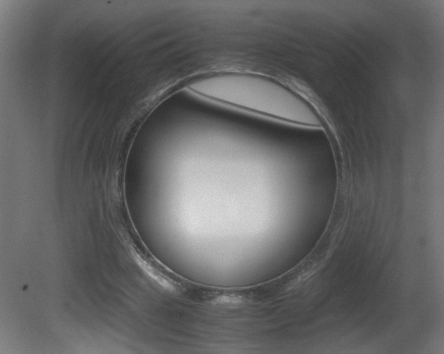 X0000081310441200701111006