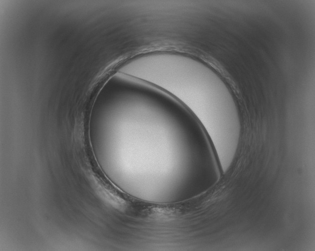 X0000081310442200701111006