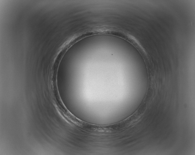 X0000081310443200701111006