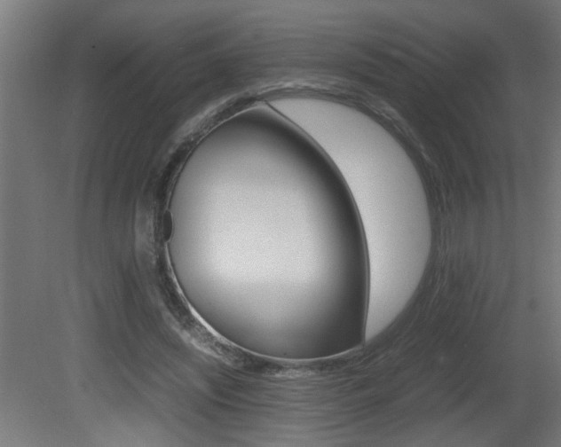 X0000081310444200701111006