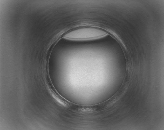 X0000081310445200701111006