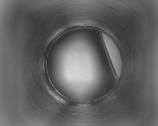 X0000081310446200701111007