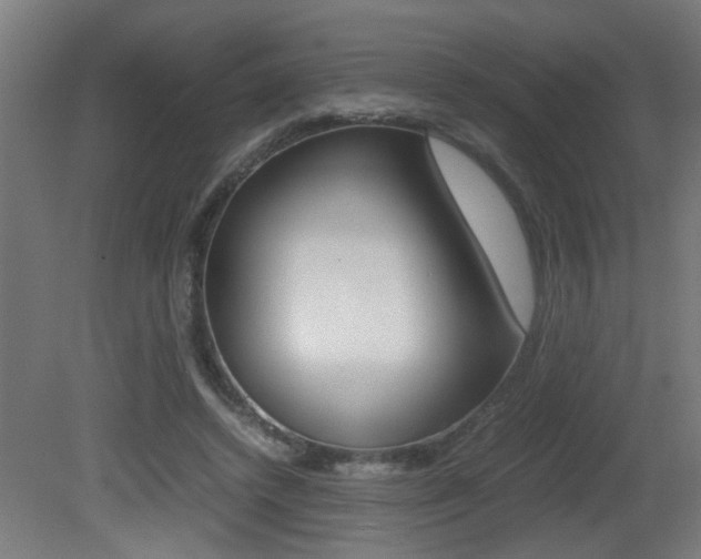 X0000081310448200701111007