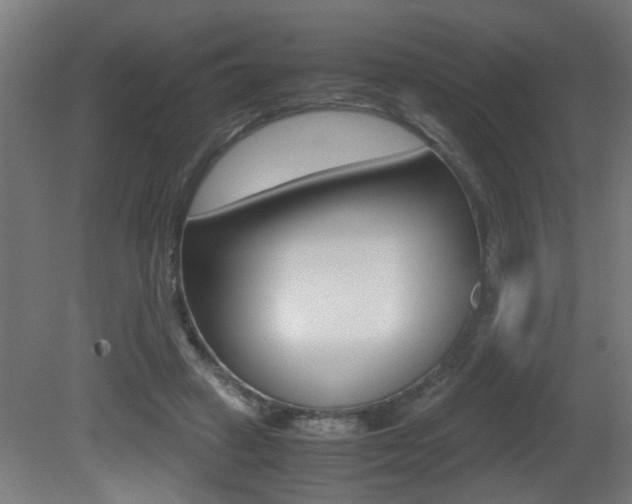X0000081310449200701111007